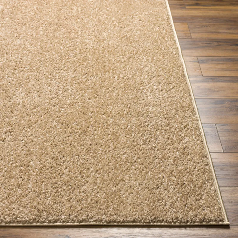 Alfombra 2'3" x 3'9" Rug