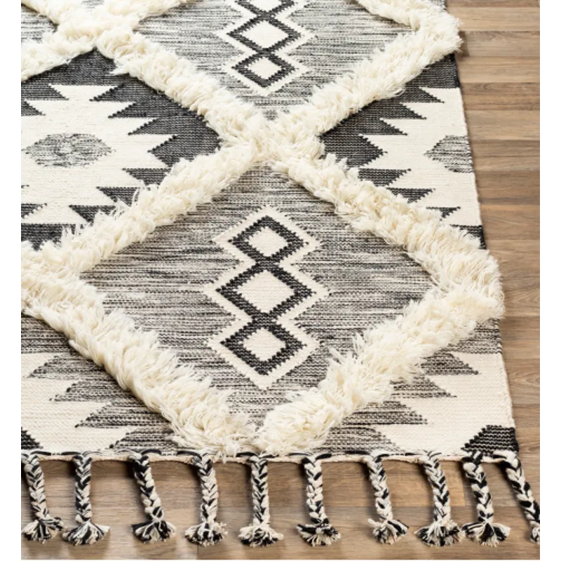Apache 2' x 3' Rug
