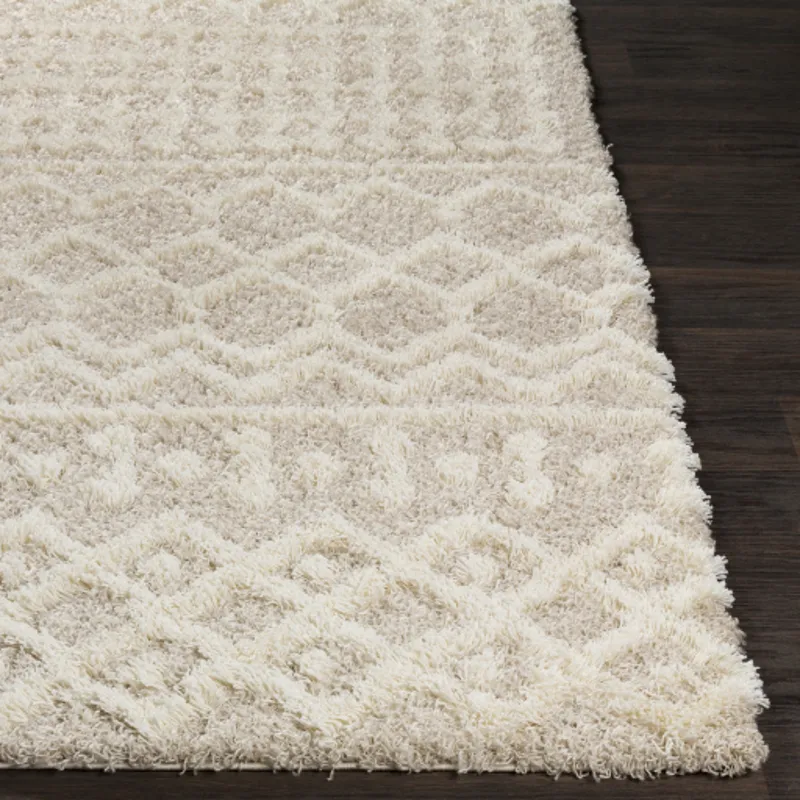 Urban Shag 2'7" x 16' Rug
