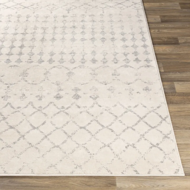 Roma 9'10" x 14' Rug