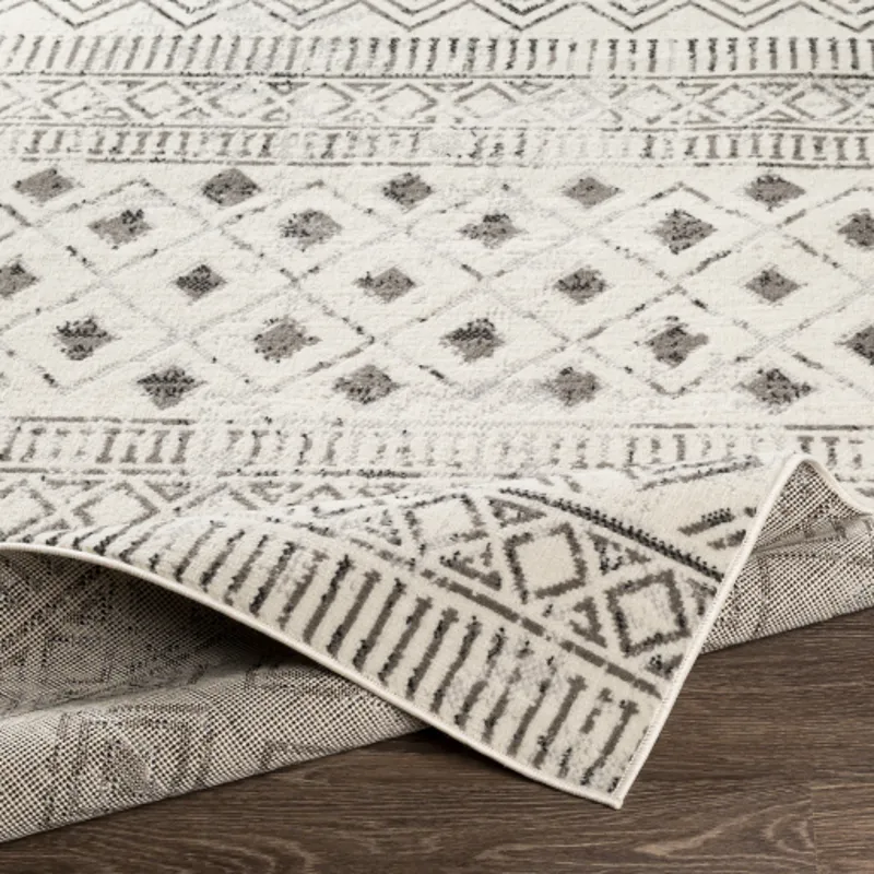 Pisa 6'7" x 9' Rug