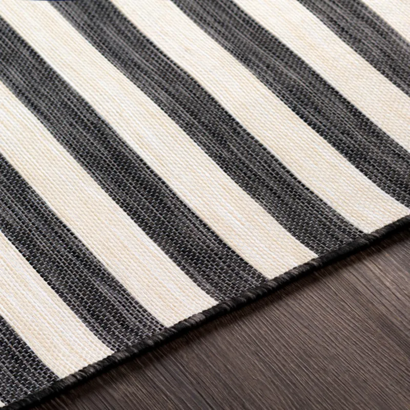 Pasadena 2'7" x 4'11" Rug