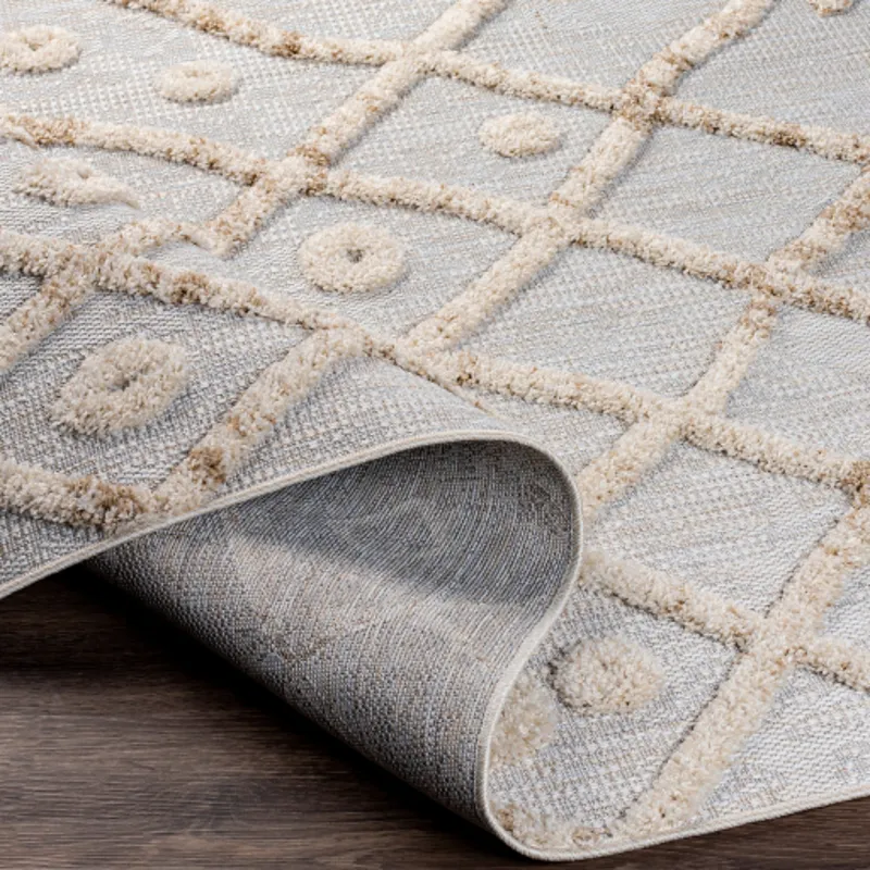 Toledo 5'3" x 7' Rug