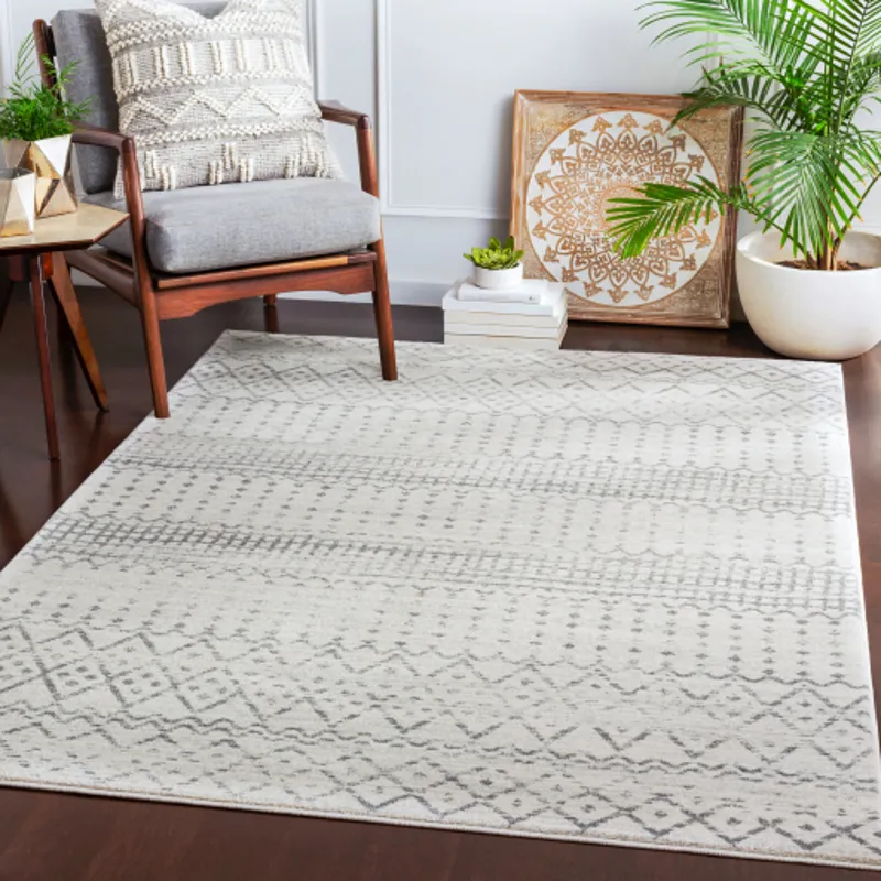 Harput 2' x 3' Rug