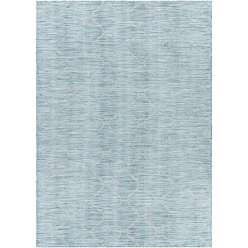 Pasadena 2'6" x 4' Rug