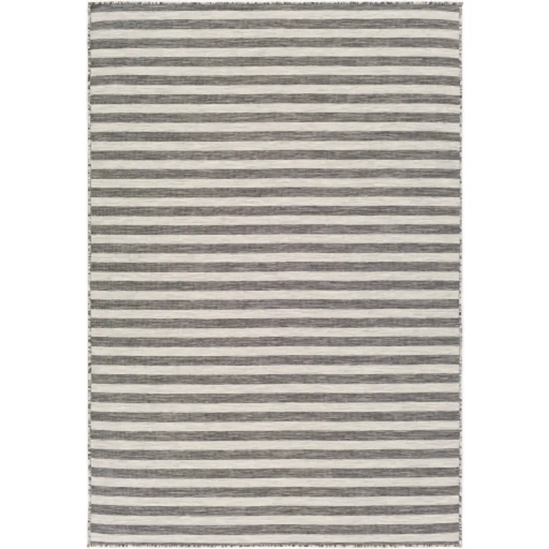 Pasadena 2'7" x 4'11" Rug