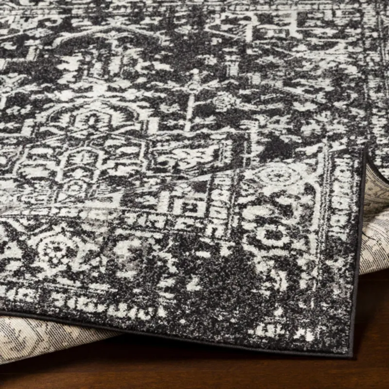 Harput 2' x 3' Rug