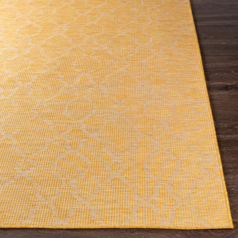 Pasadena 2'6" x 4' Rug
