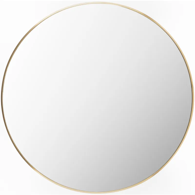 Aranya Mirror