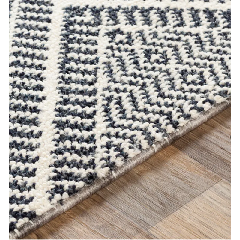 Ariana 2' x 3' Rug