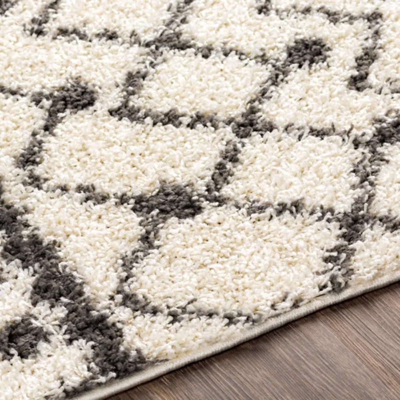 Taza shag 6'7" x 9' Rug