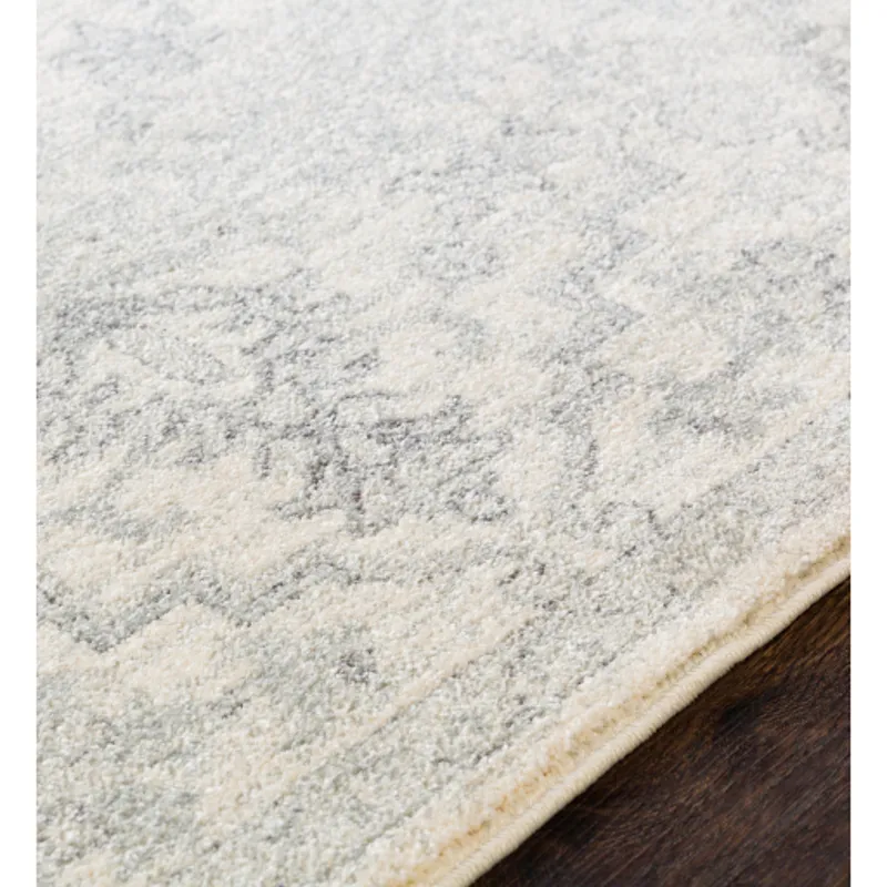 Harput 2' x 3' Rug