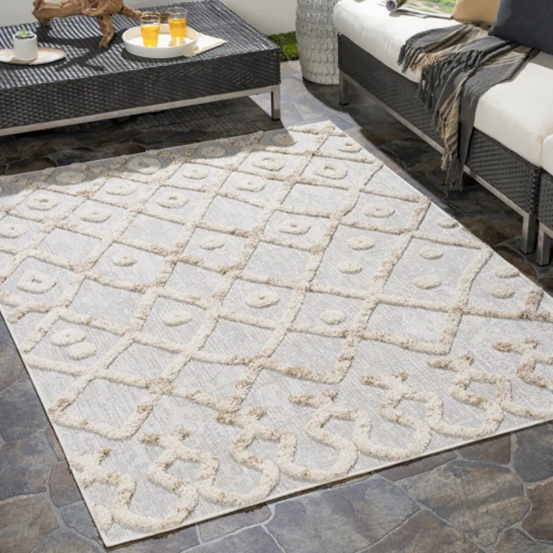 Toledo 5'3" x 7' Rug