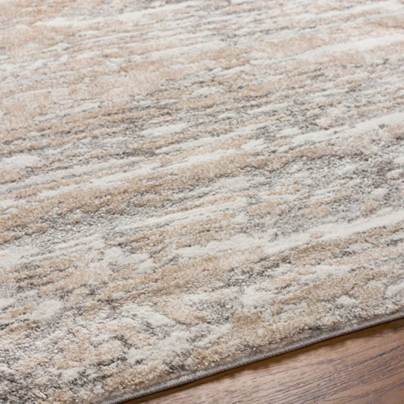 Venice 3'11" x 5'7" Rug