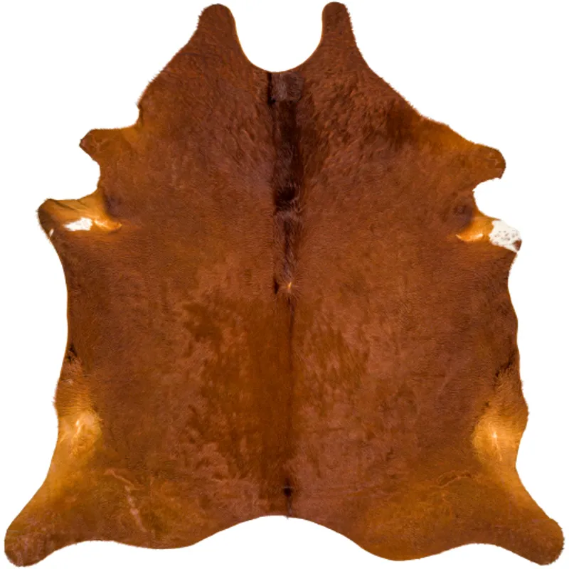Duke 3' x 5' Rug