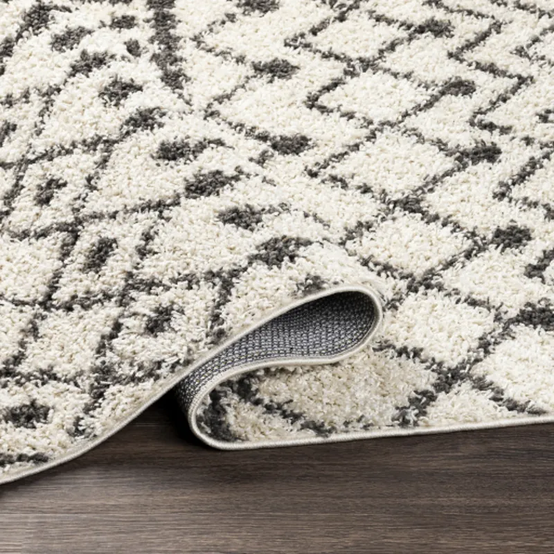 Taza shag 7'10" x 10' Rug