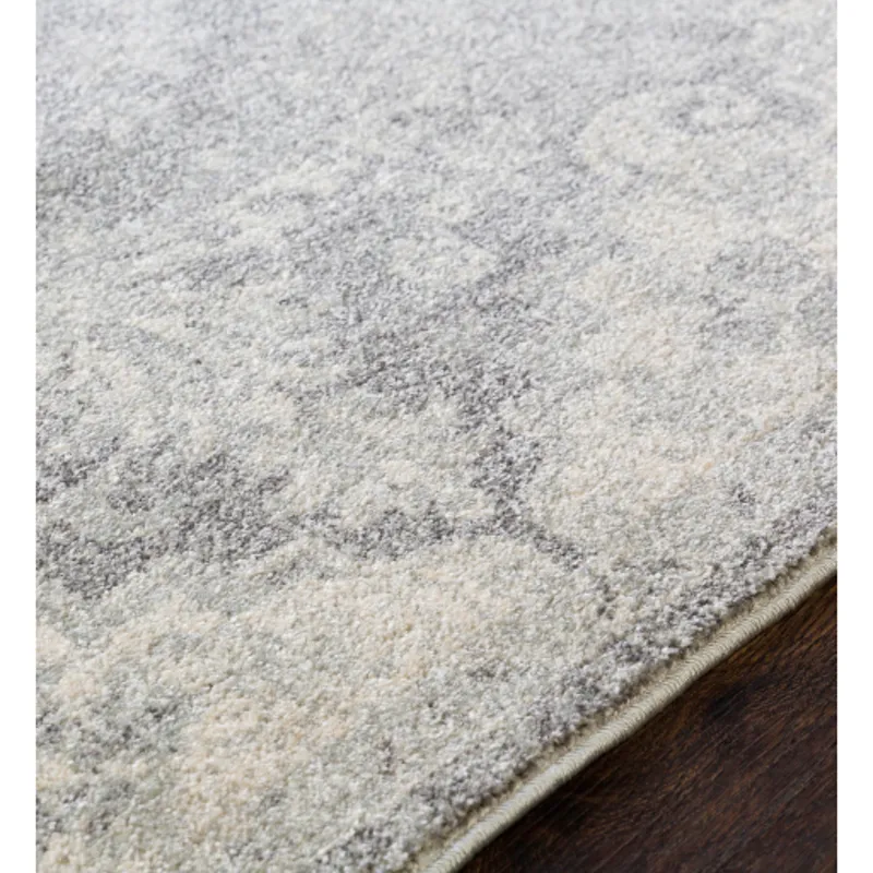 Harput 2' x 3' Rug