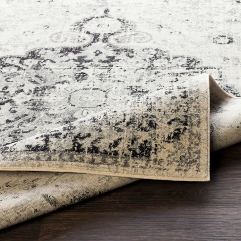 Harput 2' x 3' Rug
