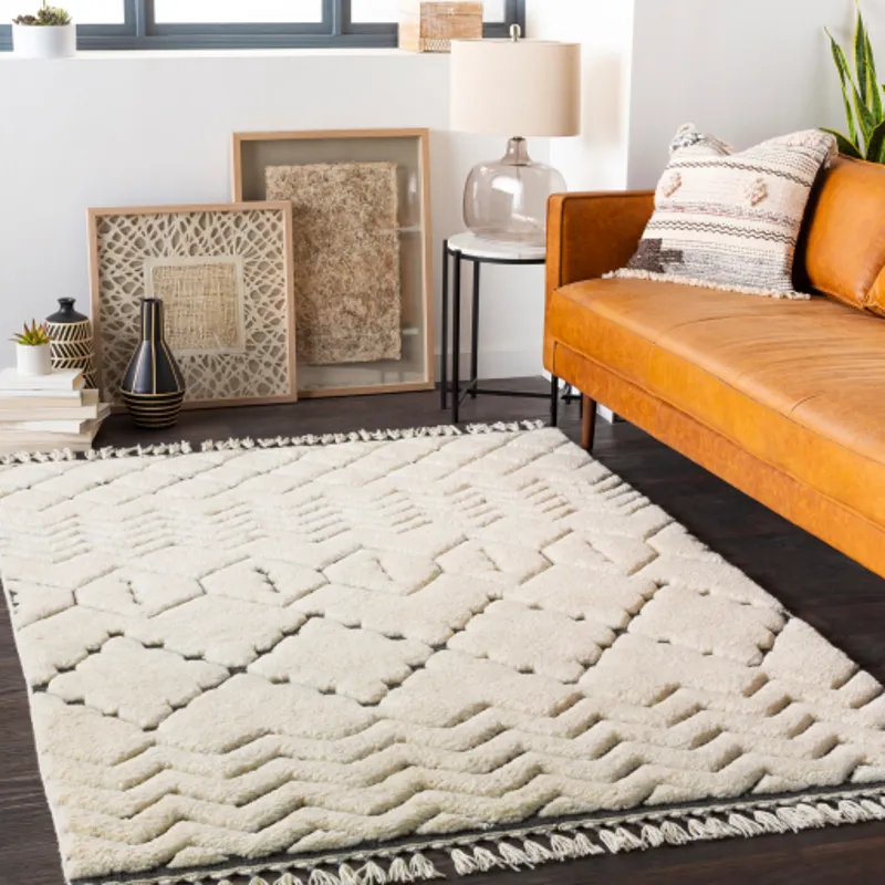 Meknes 8'10" x 12' Rug