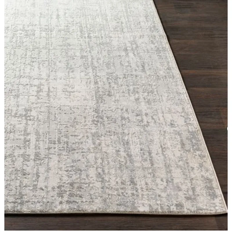Aisha 2'7" x 5' Rug