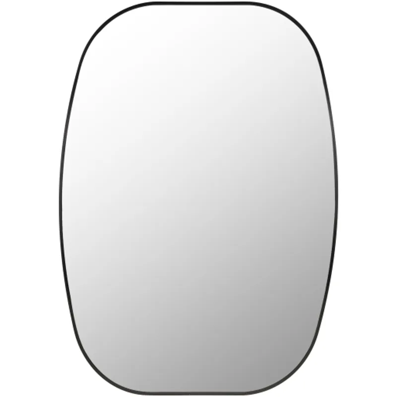 Aranya Mirror