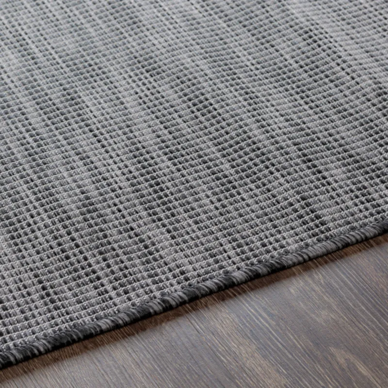 Pasadena 2'6" x 4' Rug