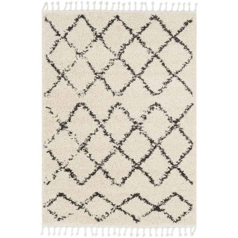 Berber Shag 5'3" x 7'3" Rug