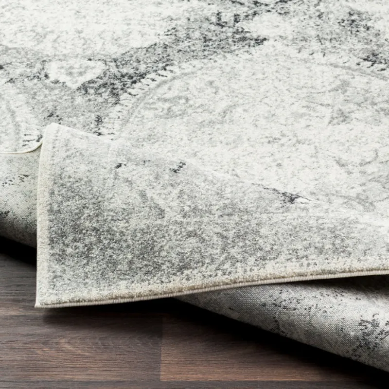 Harput 2' x 3' Rug