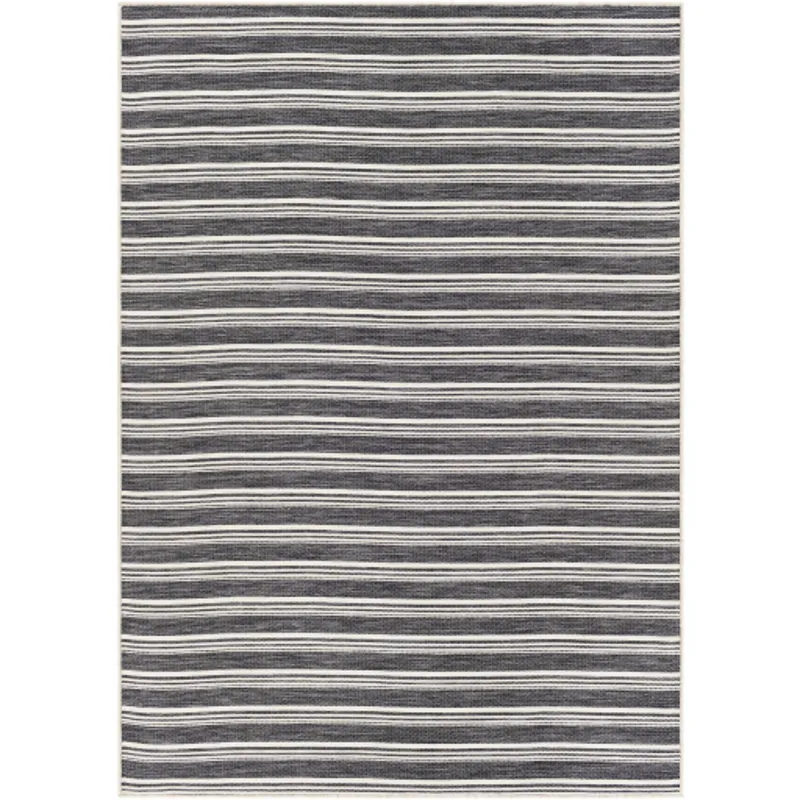 Pasadena 2'7" x 4'11" Rug