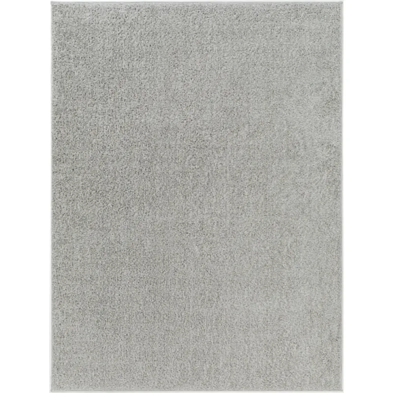 Alfombra 2'3" x 3'9" Rug