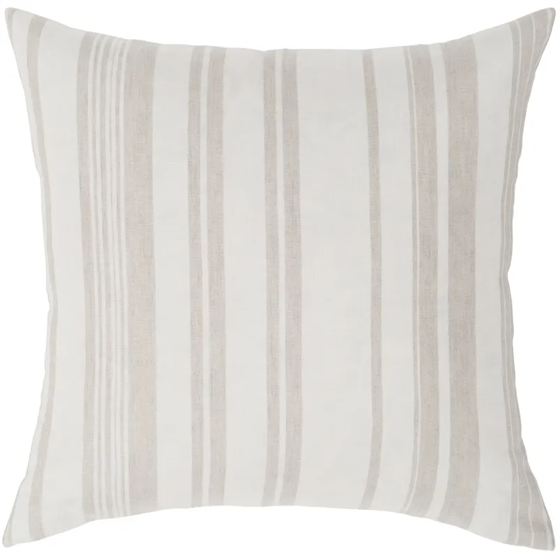 Baris 20" x 20" Pillow Cover
