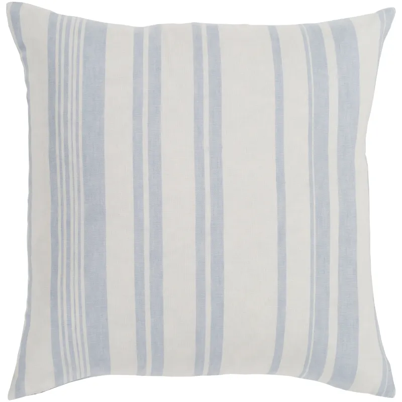 Baris 20" x 20" Pillow Cover