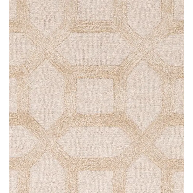 Arise 2'3" x 14' Rug