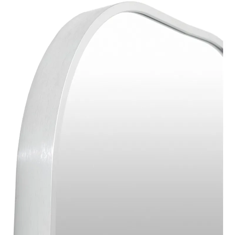 Aranya Mirror