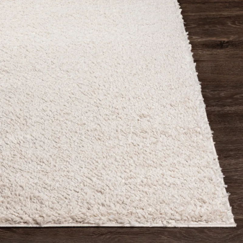 Deluxe shag 4'3" x 5'7" Rug
