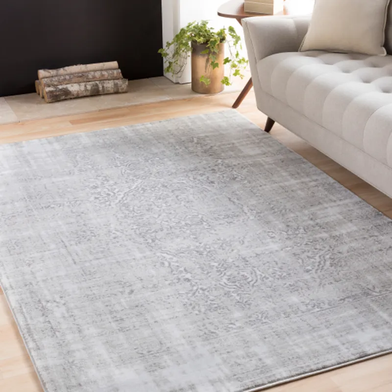 Nova 3'11" x 5'3" Rug