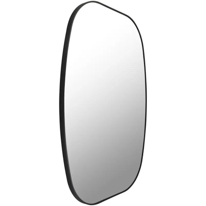 Aranya Mirror