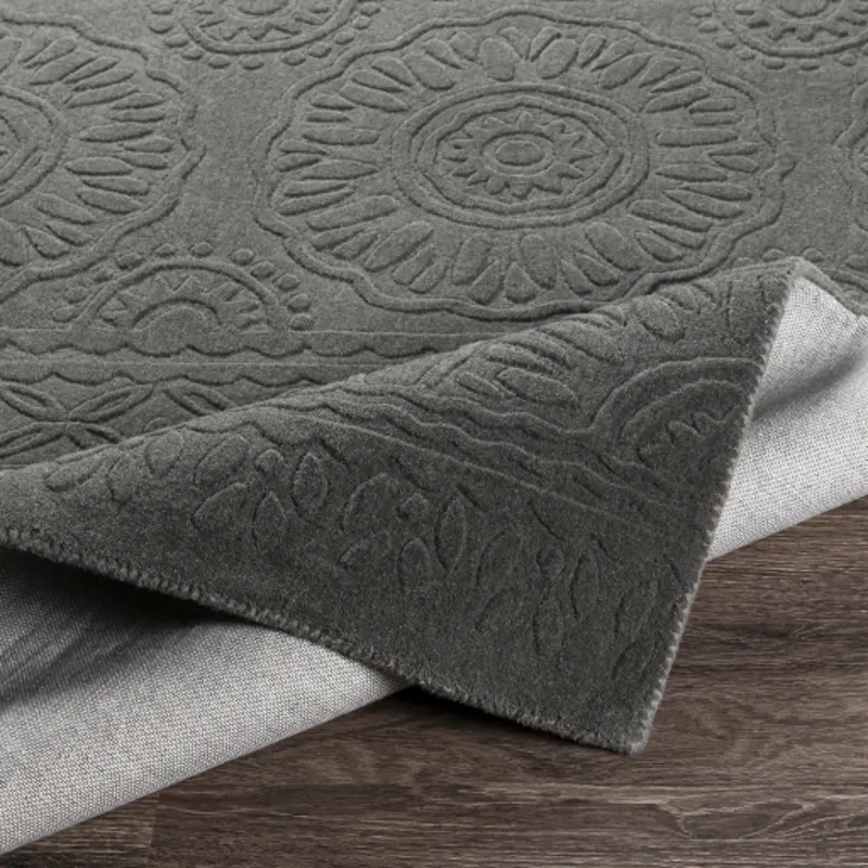 Taraash 2'6" x 8' Rug