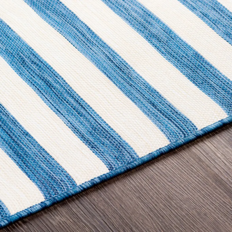 Pasadena 2'7" x 4'11" Rug
