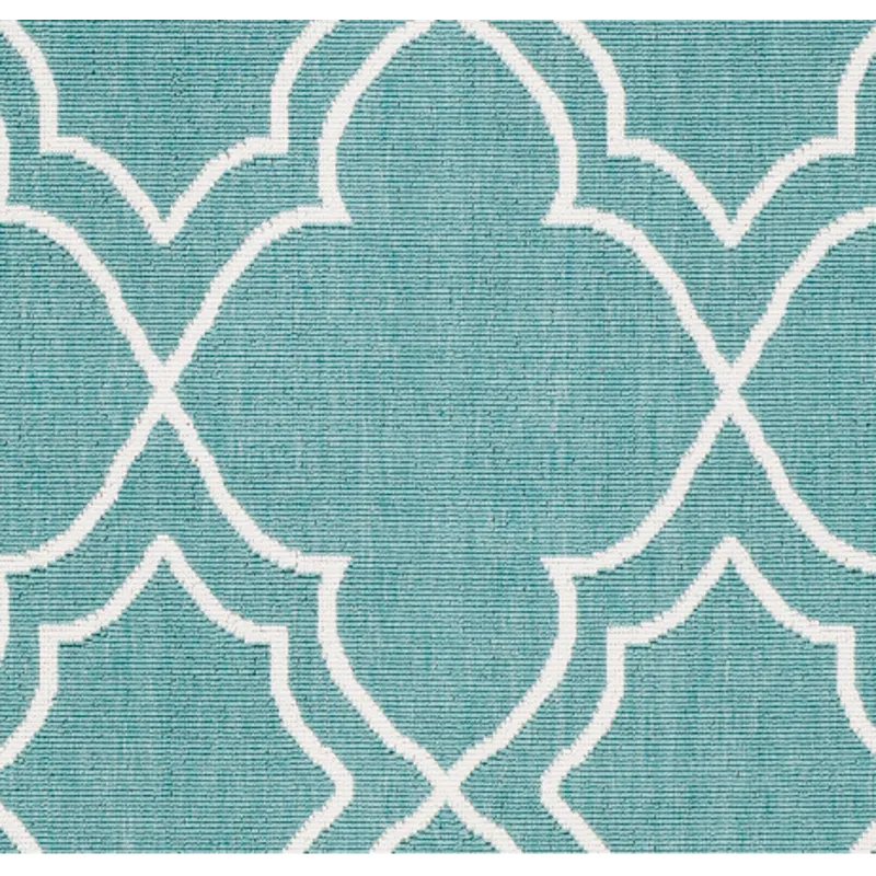 Alfresco 2'5" x 4'5" Rug