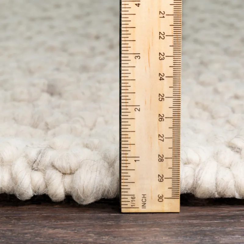 Neravan 8' x 10' Rug
