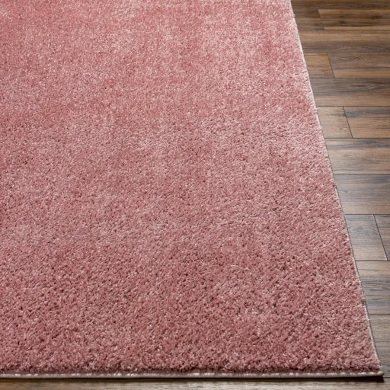 Alfombra 3'11" x 5'11" Rug