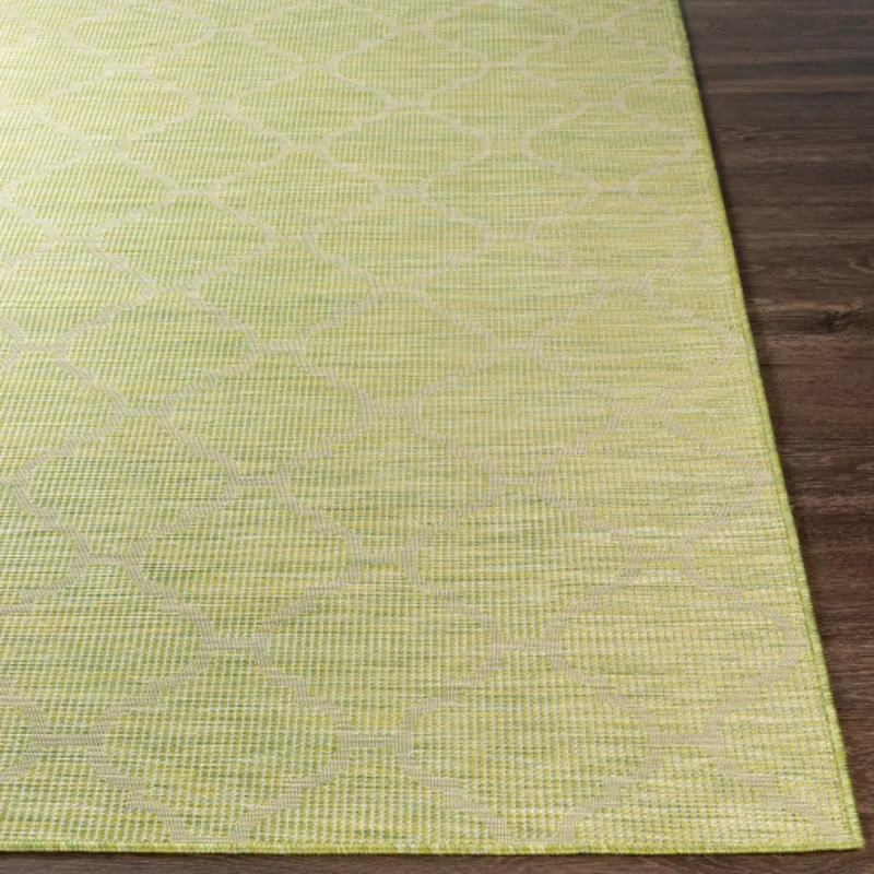 Pasadena 6'4" x 9' Rug