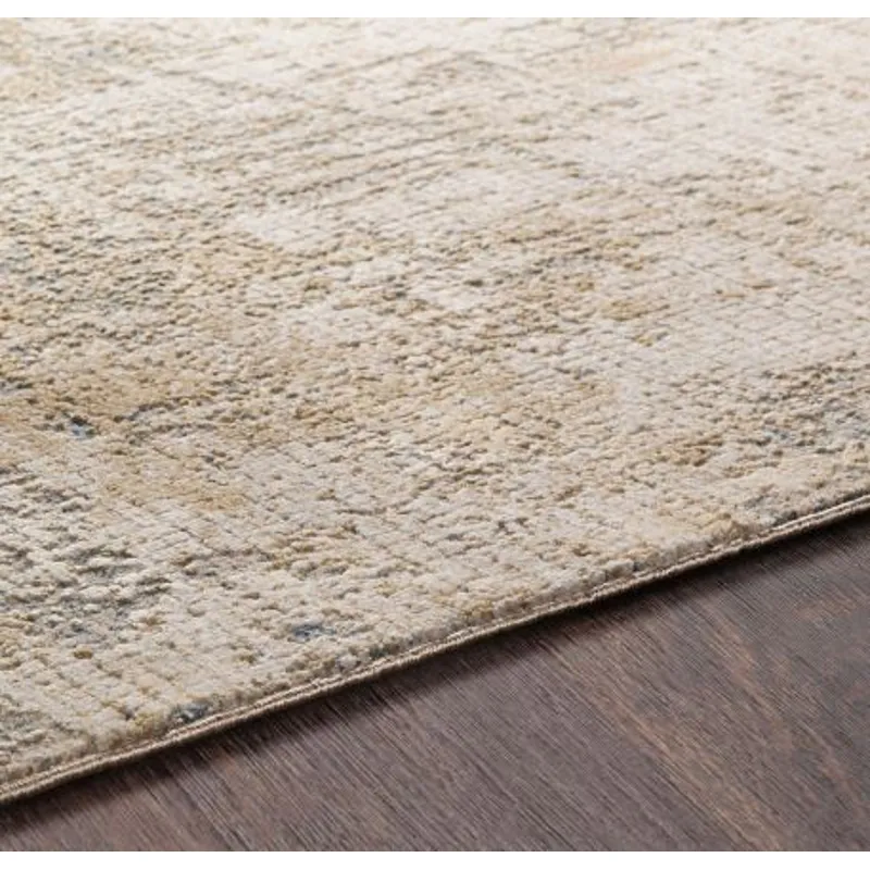 Aisha 2'7" x 5' Rug