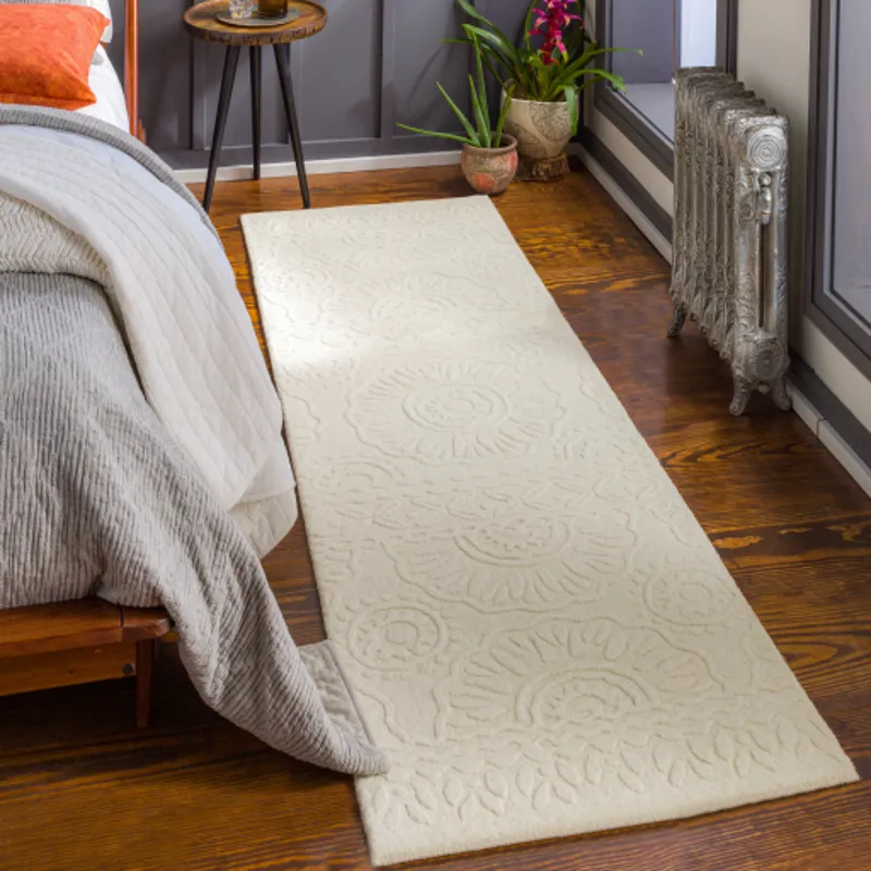Taraash 2'6" x 8' Rug