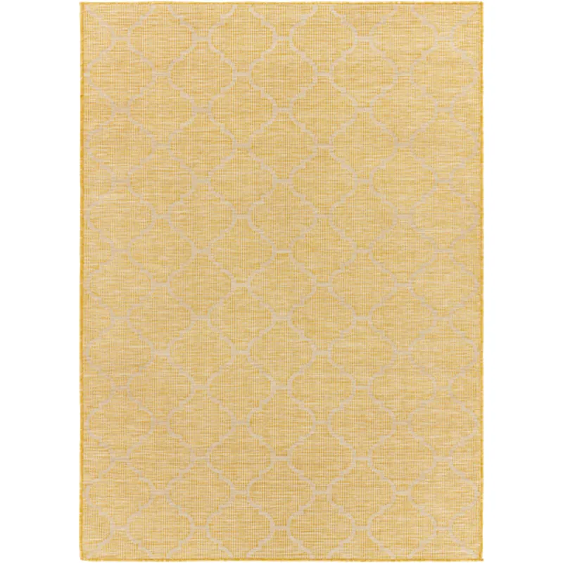 Pasadena 2'6" x 4' Rug