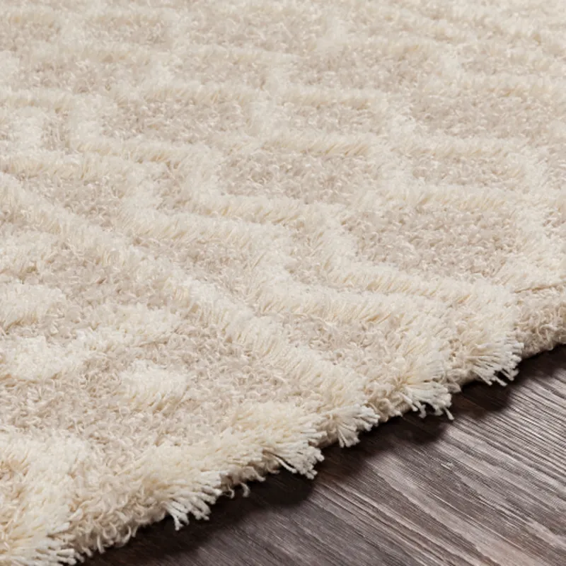 Urban Shag 8'10" x 12' Rug