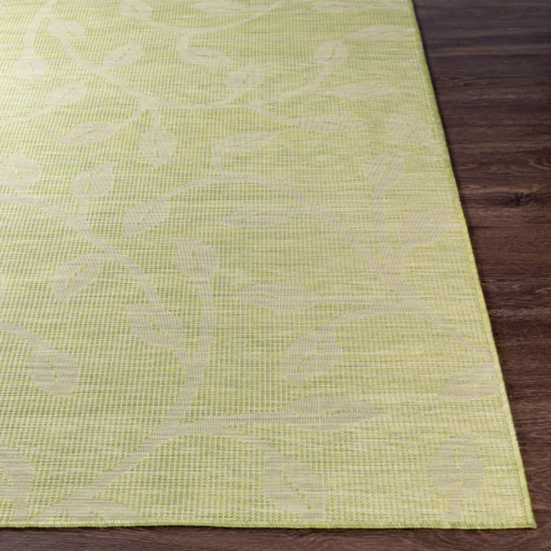 Pasadena 5'1" x 7' Rug