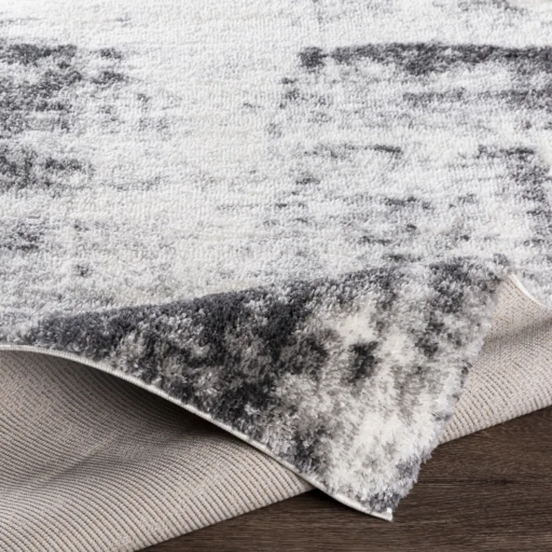 Aliyah shag 5'3" x 7'3" Rug