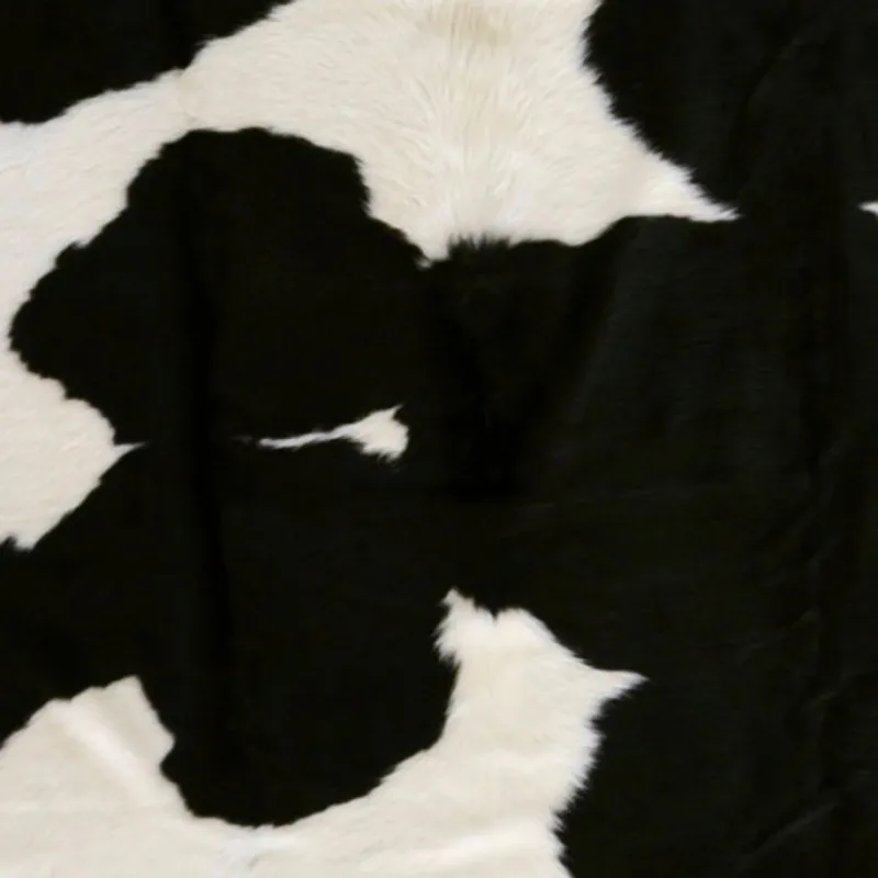 Duke 5' x 5' Rug
